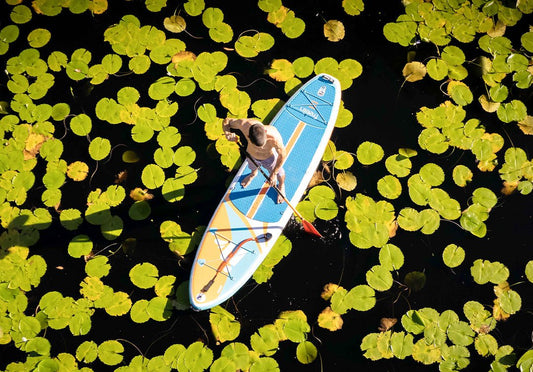 The Difference Between Inflatables and Hard Paddle Boards - Freein